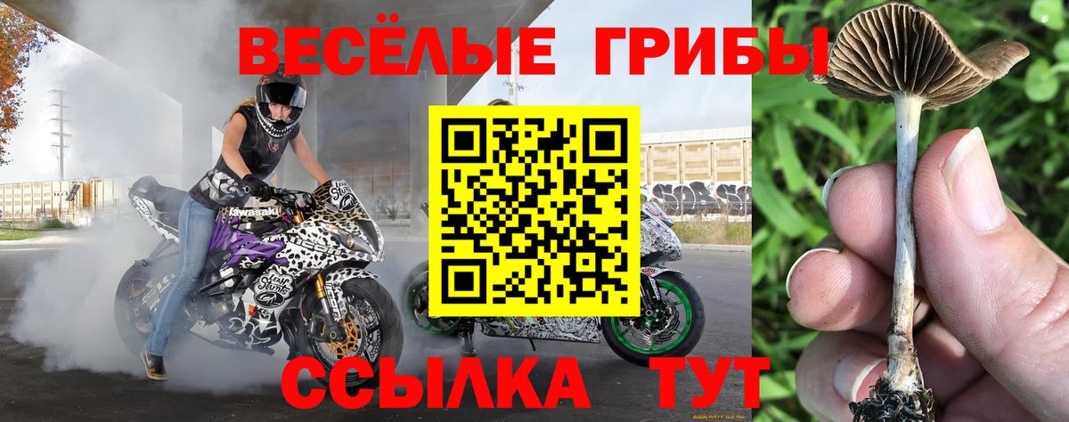 даркнет сайт  Вход с VPN  Ирбит  Галлюциногенные грибы мухоморы 